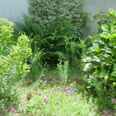 Renove Calme Avec Jardin Fleuri, A Proximite Du Canal De Nantes A Brest Et De La Foret Du Gavre - Fr-1-306-1007 Blain