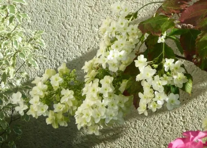 Renove Calme Avec Jardin Fleuri, A Proximite Du Canal De Nantes A Brest Et De La Foret Du Gavre - Fr-1-306-1007